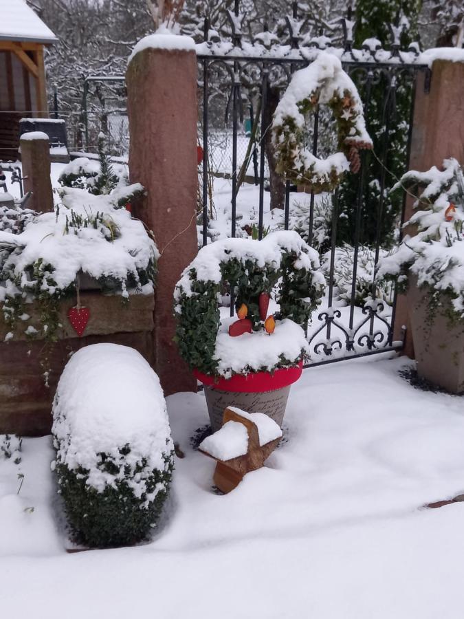 Vila L'Alcove Des P'Tits Coeurs Benfeld Exteriér fotografie