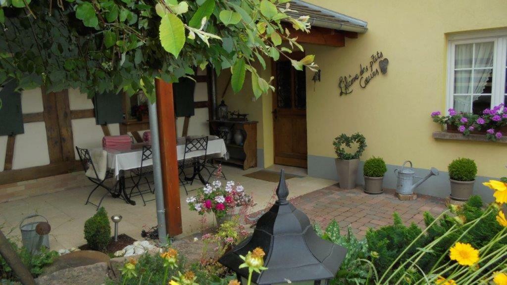 Vila L'Alcove Des P'Tits Coeurs Benfeld Exteriér fotografie